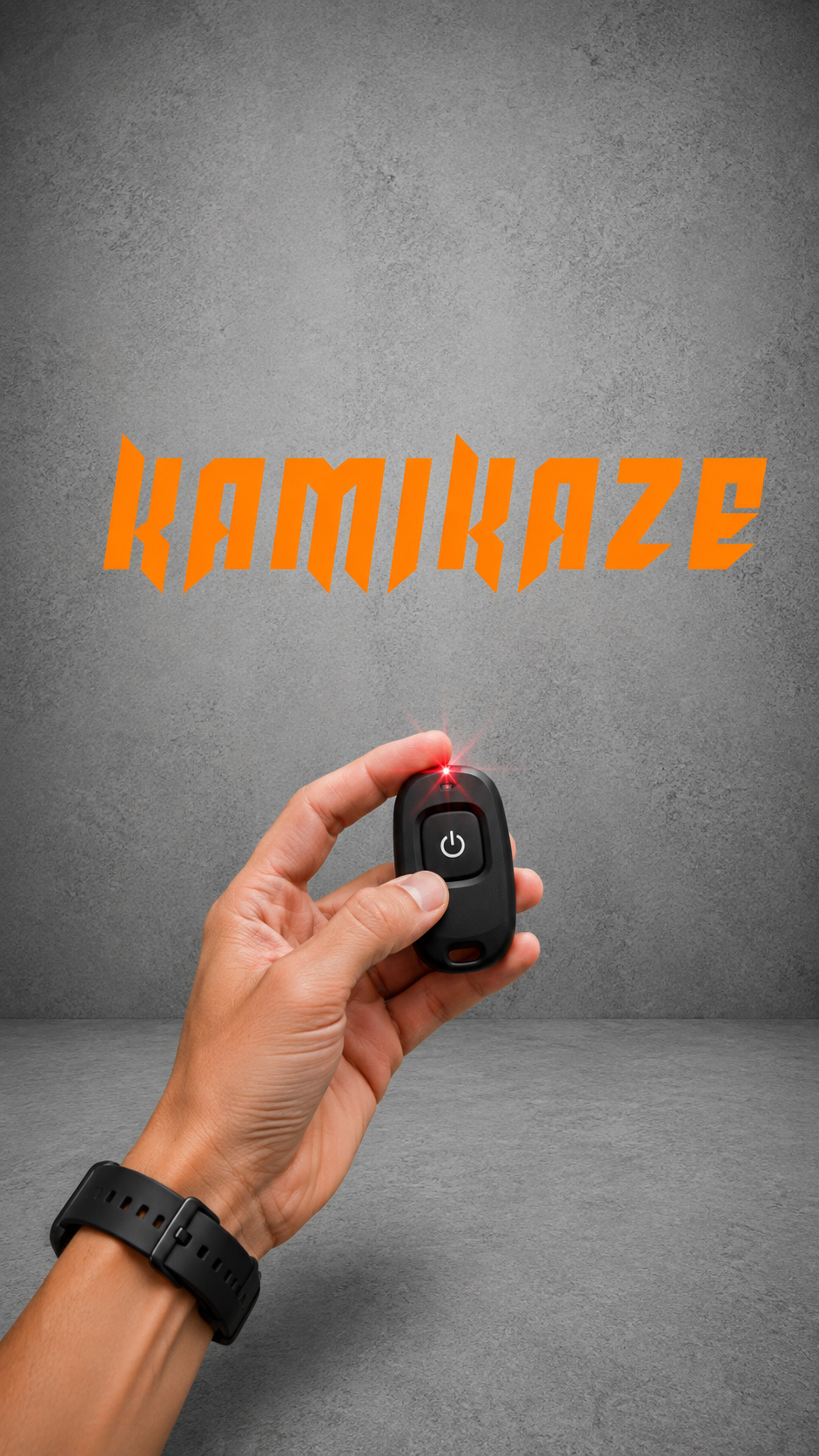 Speed Limiter/Delimiter Control KAMIKAZE